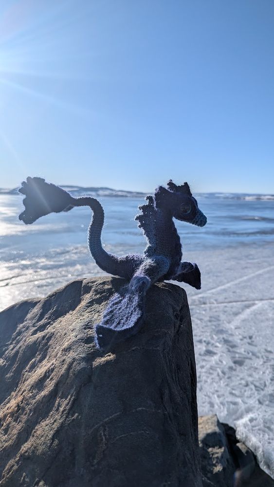 A crocheted blue sea dragon is posed on a rock in front of a lake partly covered in ice.