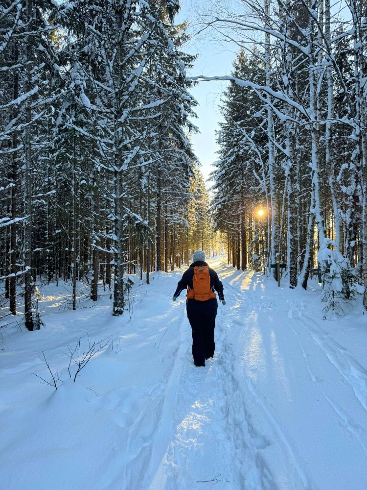 A lady in winter clothes walks away from the camera, in a snow covered forest, with sun shining in between the trees.