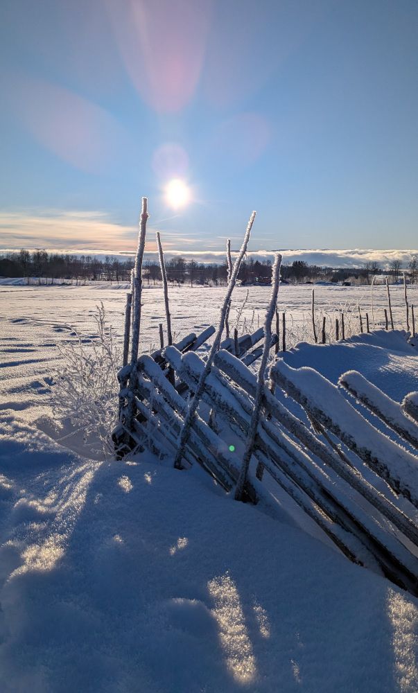 A snow covered fence against blue skies and pale winter sun.