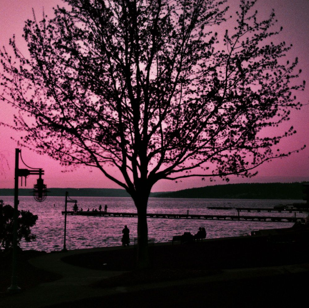 Beach view with tree and people in foreground, sky purple from film stock