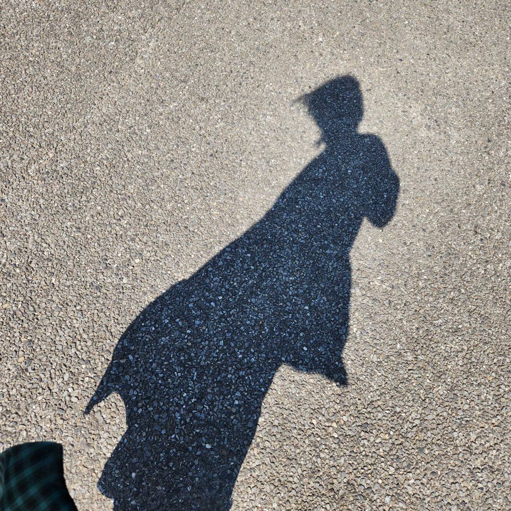 岸辺露伴は動かないみたいな影