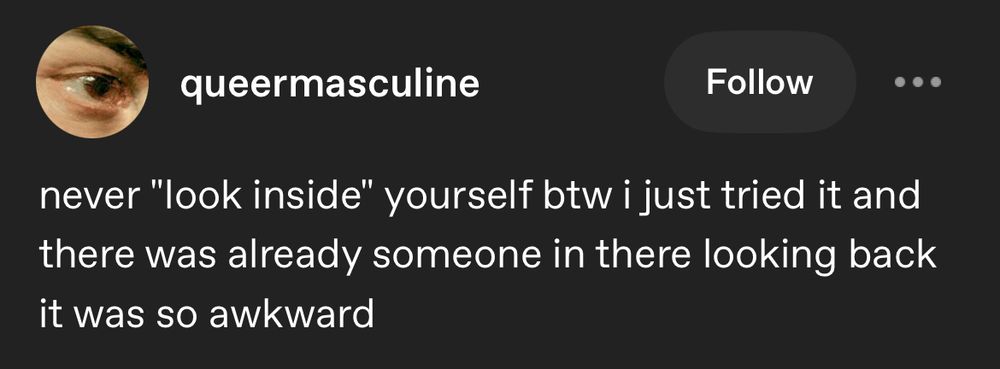 A post by tumblr user queermasculine that says, “never "look inside" yourself btw i just tried it and there was already someone in there looking back it was so awkward”