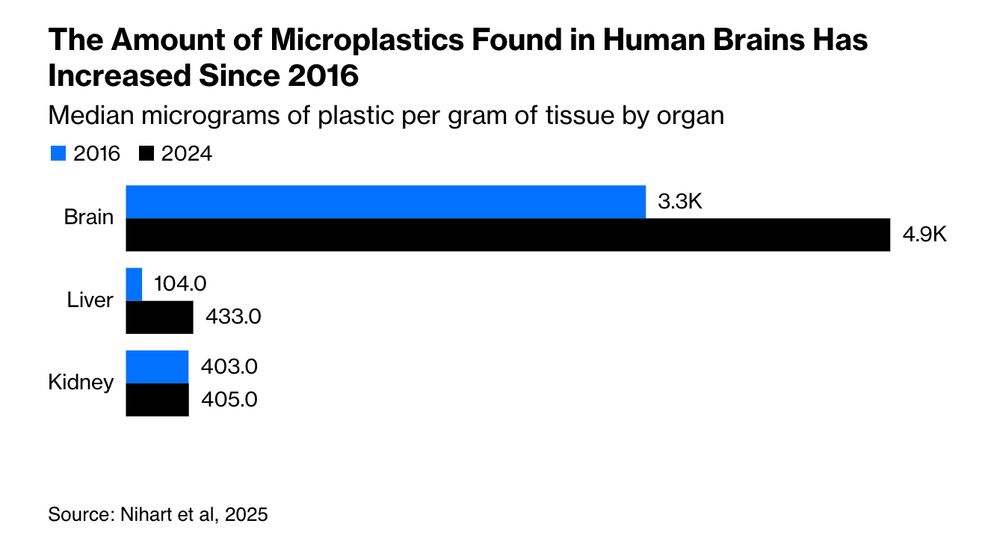 bar chart showing amount of microplastics found in human organs (brain, liver, kidney) in 2016 and 2024. Liver and brain levels have increased a lot, with the brain having by far the most -- 4.9 micrograms per gram of tissue in 2024.