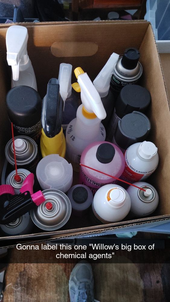 Photo of box of (mostly)spray cans with things like brake cleaner, motorcycle chain lubricant, seafoam, etc.