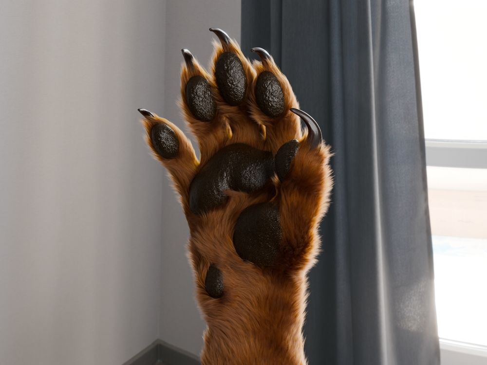 Render of a furry werewolf paw in Blender