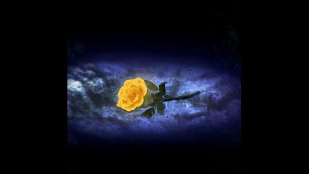 A golden rose at the bottom of the sea, it's existence is guaranteed with the love of all who know the story of Rokkenjima.