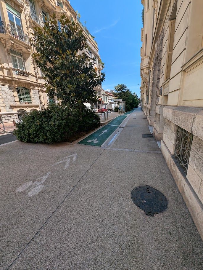 pedestrian-grade lane with bus island and greenery