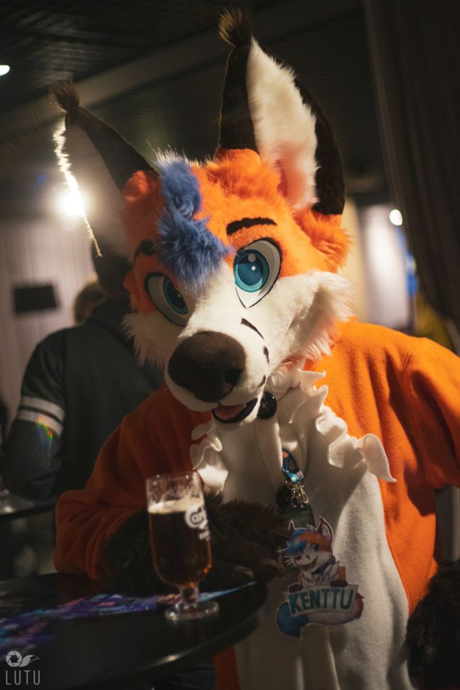 Fox fursuiter at NordicFuzzcon posing behind a glass of beer.