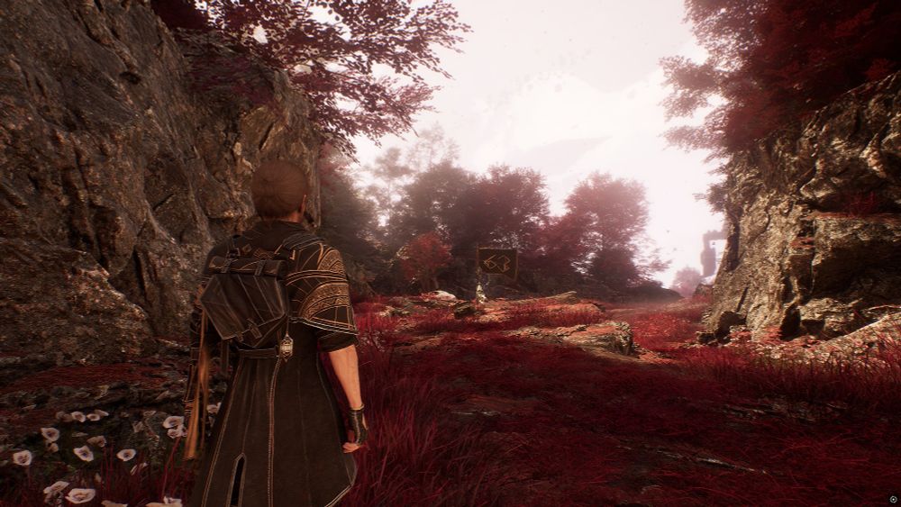 Screenshot from game Expedition 33