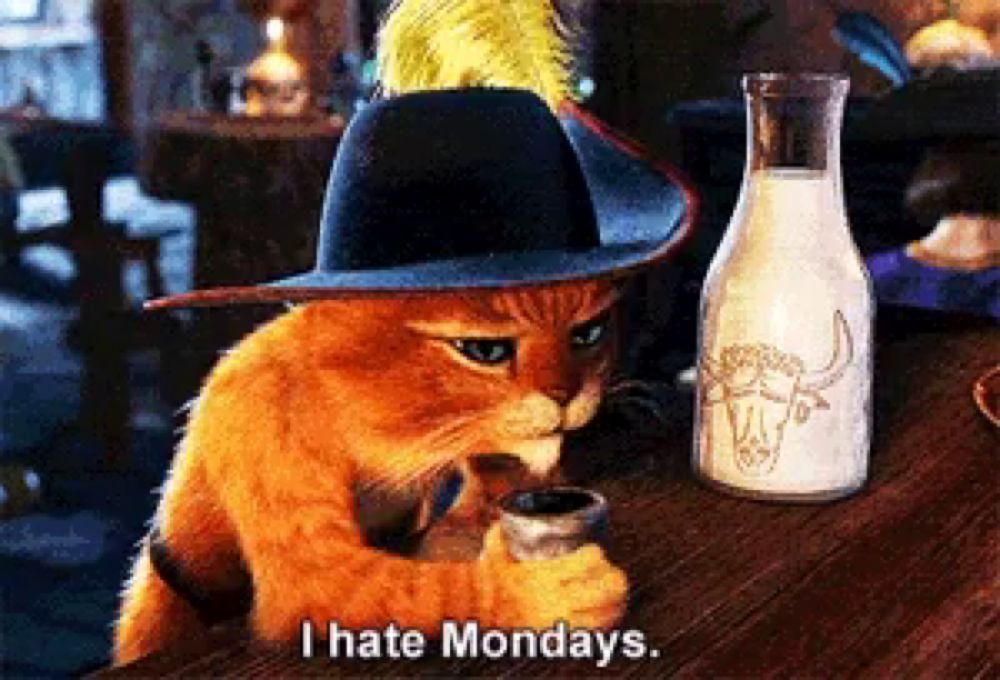 a cat wearing a hat is drinking from a pitcher next to a bottle of milk that says i hate mondays