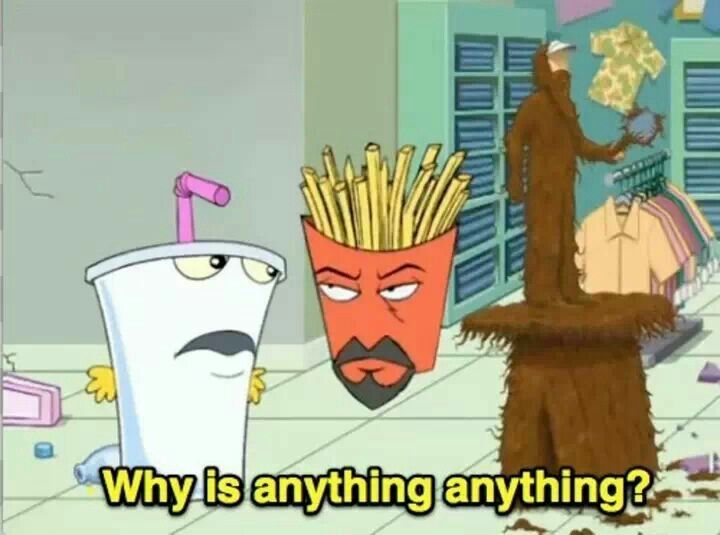 Screenshot from Aqua Teen Hunger Force, of the character Master Shake exasperatedly exclaiming: "Why is anything anything?"