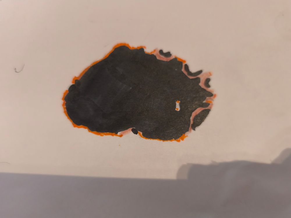 A poorly drawn flat sea creature!