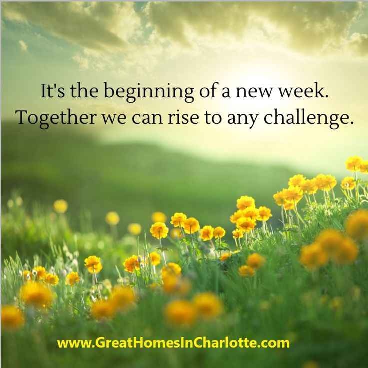 A picture of a field of yellow dandelions in soft focus with the sky above cloudy with the sun trying to break through. The words say "It's the beginning of a new week. Together we can rise to any challenge." Picture is from www.GreatHomesInCharlotte.com.