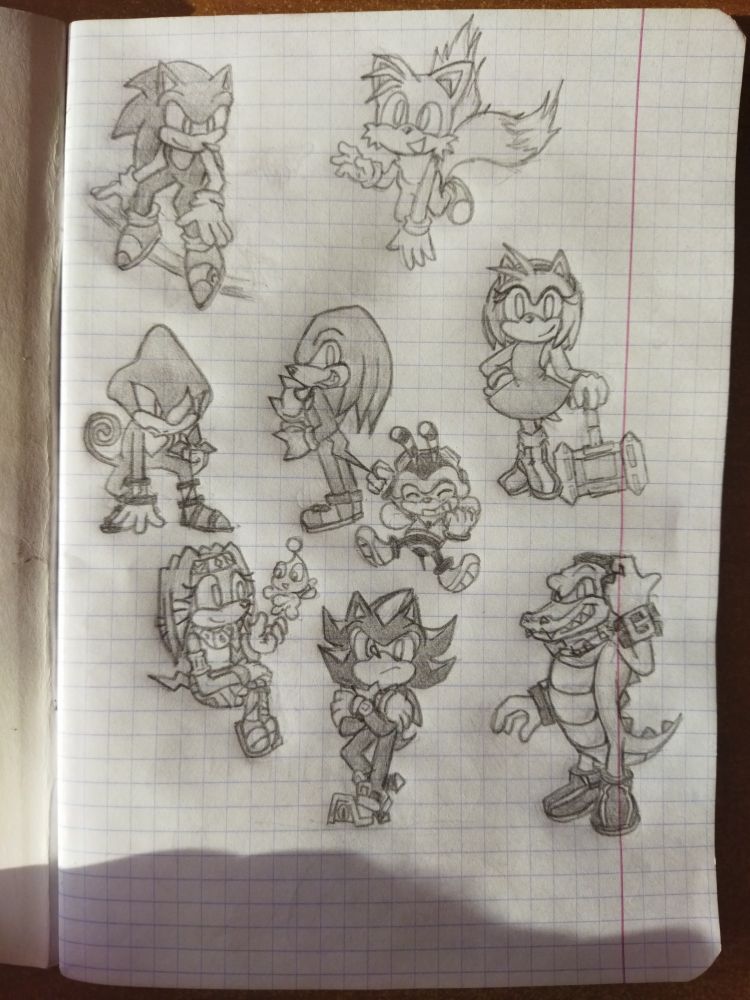 We haaavee
Sonic, Tails, Knuckles, Amy, Espio, Charmy, Tikal, a chao, Shadow and Vectorr