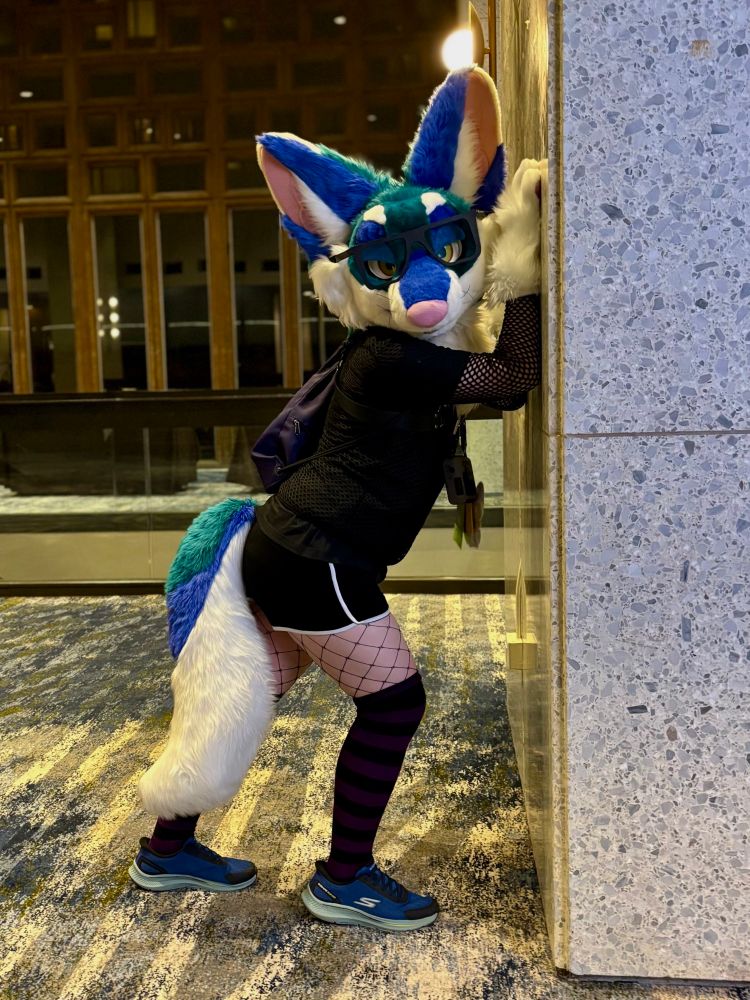 Fennec Fox fursuiter dressed as a femboy at Denfur 2025
