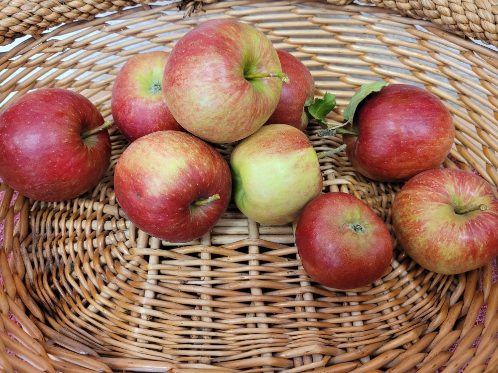 korb mit äpfeln