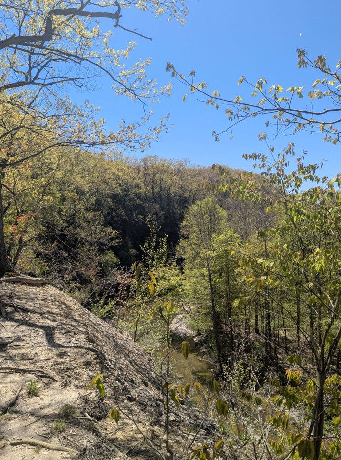 Picture looking down on trees and water from a cliff