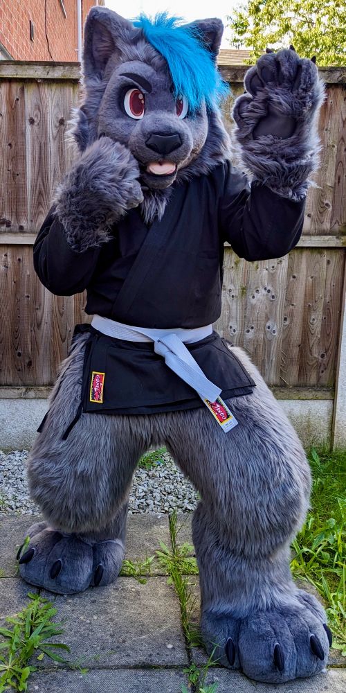 Fursuit by @MadeByMercury.bsky.social