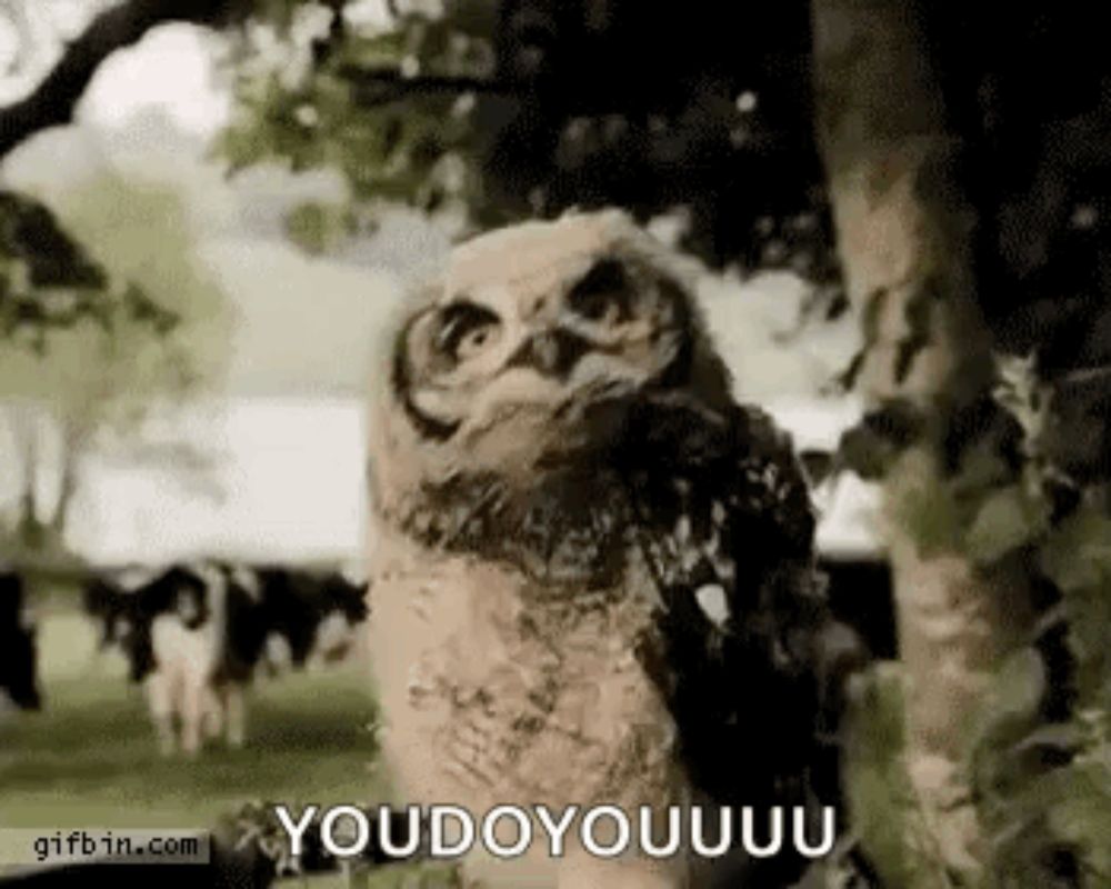 a baby owl is standing next to a tree in a field and looking at the camera .