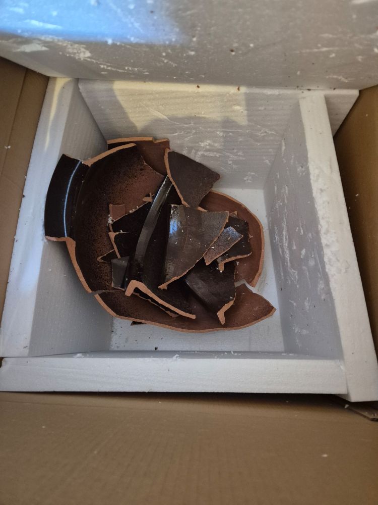 Photo of a a cardboard box, liked with polystyrene. Shards of brown pottery that may have once been a plant pot are piled up in the bottom