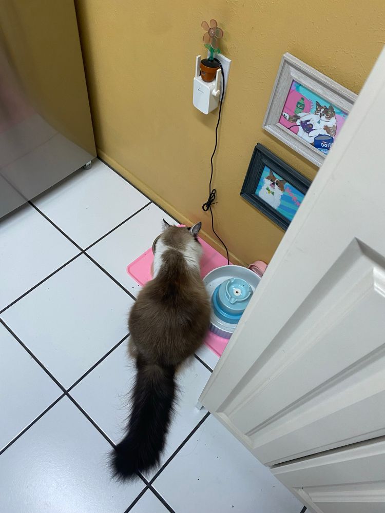 norman eating breakfast