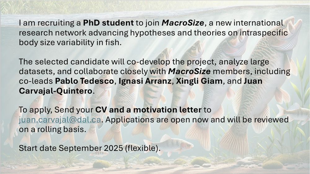 PhD Advertisement that reads:

I am recruiting a PhD student to join MacroSize, a new international research network advancing hypotheses and theories on intraspecific body size variability in fish.

The selected candidate will co-develop the project, analyze large datasets, and collaborate closely with MacroSize members, including co-leads Pablo Tedesco, Ignasi Arranz, Xingli Giam, and Juan Carvajal-Quintero.

To apply, Send your CV and a motivation letter to juan.carvajal@dal.ca. Applications are open now and will be reviewed on a rolling basis.

Start date September 2025 (flexible).