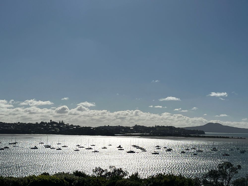 Sunshine glints over the boats in Half Moon Bay, Auckland, with Rangitoto Island in the distance.