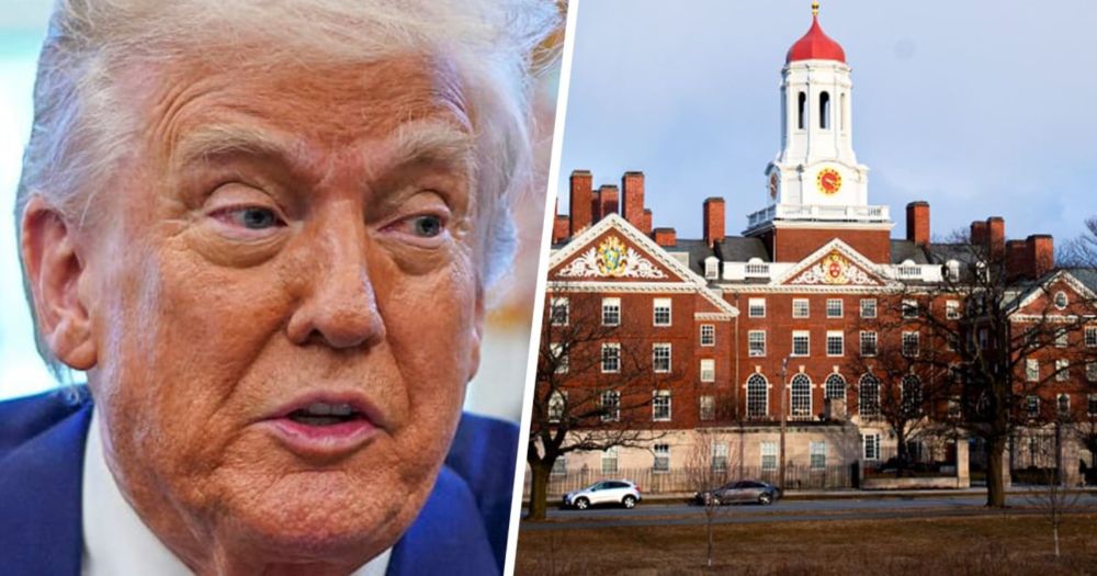‘Total gut punch’: Harvard scientist ordered to halt research due to Trump funding battle