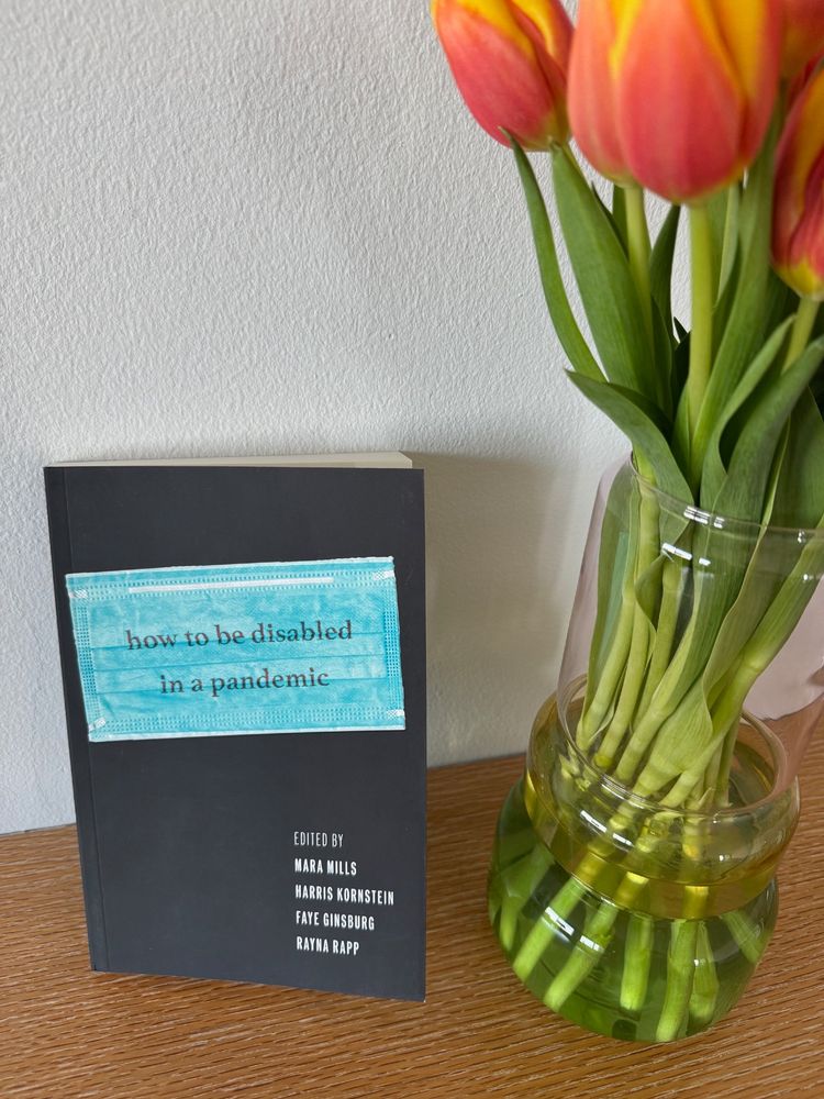 Photograph of the book How to Be Disabled in a Pandemic on a wood shelf next to a vase with red tulips. The book has a black paperback cover featuring a blue surgical mask printed with the title in red. The cover image was created by the artists The Brothers Sick, Ezra and Noah Benus. In the bottom right hand corner in white print are listed the editors' names: Mara Mills, Harris Kornstein, Faye Ginsburg, Rayna Rapp
