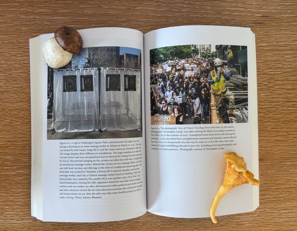 A photograph of two pages from the color insert in the middle of How to be Disabled in a Pandemic. Two dried mushrooms are being used as paperweights to hold the book open. On the left page is a photograph of an installation in Washington Square Park titled Curtain Armor by Chong Gu and Yin Q. The artwork was part of a vigil organized by Red Canary Song commemorating the 8 lives lost during a shooting at an Asian massage parlor in Atlanta on March 16, 2021. Curtain armor is composed of two massage tables, set in Washington Square, and surrounded by white curtains on which hang portraits. On the right hand page is a photograph titled View of Protest Traveling Down Park Row, taken by autistic photographer Christopher Lucka during the Black Lives Matter protests in New York City in summer 2020.