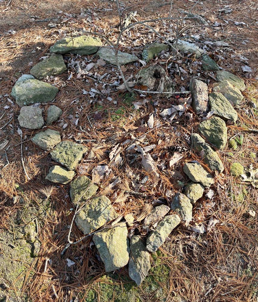 Rocks in the shape of a heart.