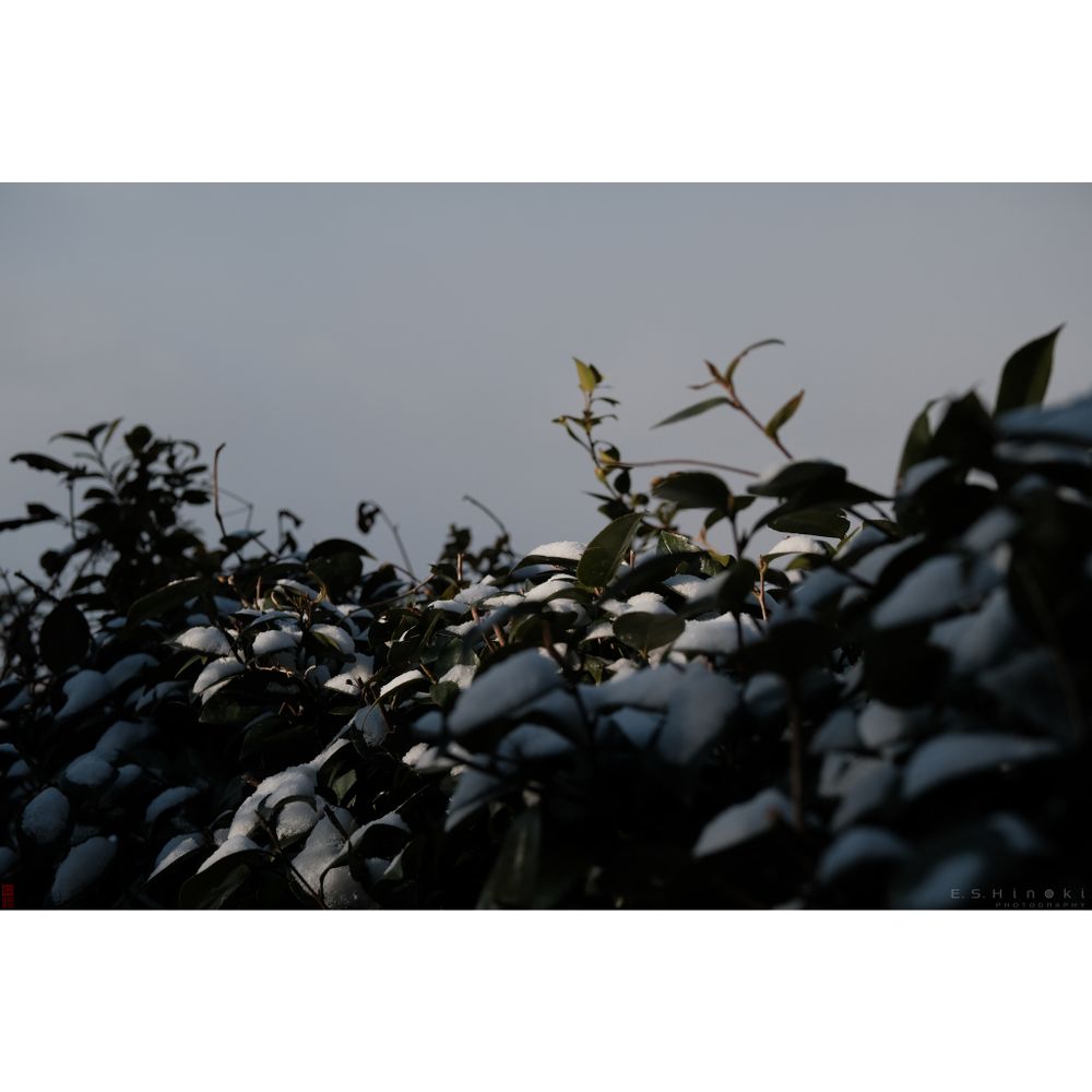 SHOT INFO:

Camera = FUJIFILM X-Pro3
Lens = XF50mmF2 R WR

ExposureInfo = 14.2EV - 1/3800s  F4  ISO320

CustomSettingName = DevR:Ordinary
FilmSimulation = CLASSIC CHROME
MonochromaticColor = WC : --, MG : --
GrainEffect = OFF
ColorChromeEffect = WEAK
ColorChromeFXBlue = WEAK
WhiteBalance = AUTO
WBShift = R :  1, B : -1
DynamicRange = DR200%(AUTO)
DRangePriority = OFF
ToneCurve = H : -1, S : -1
Color = -2
Sharpness = +1
NoiseReduction = +1
Clarity =  0