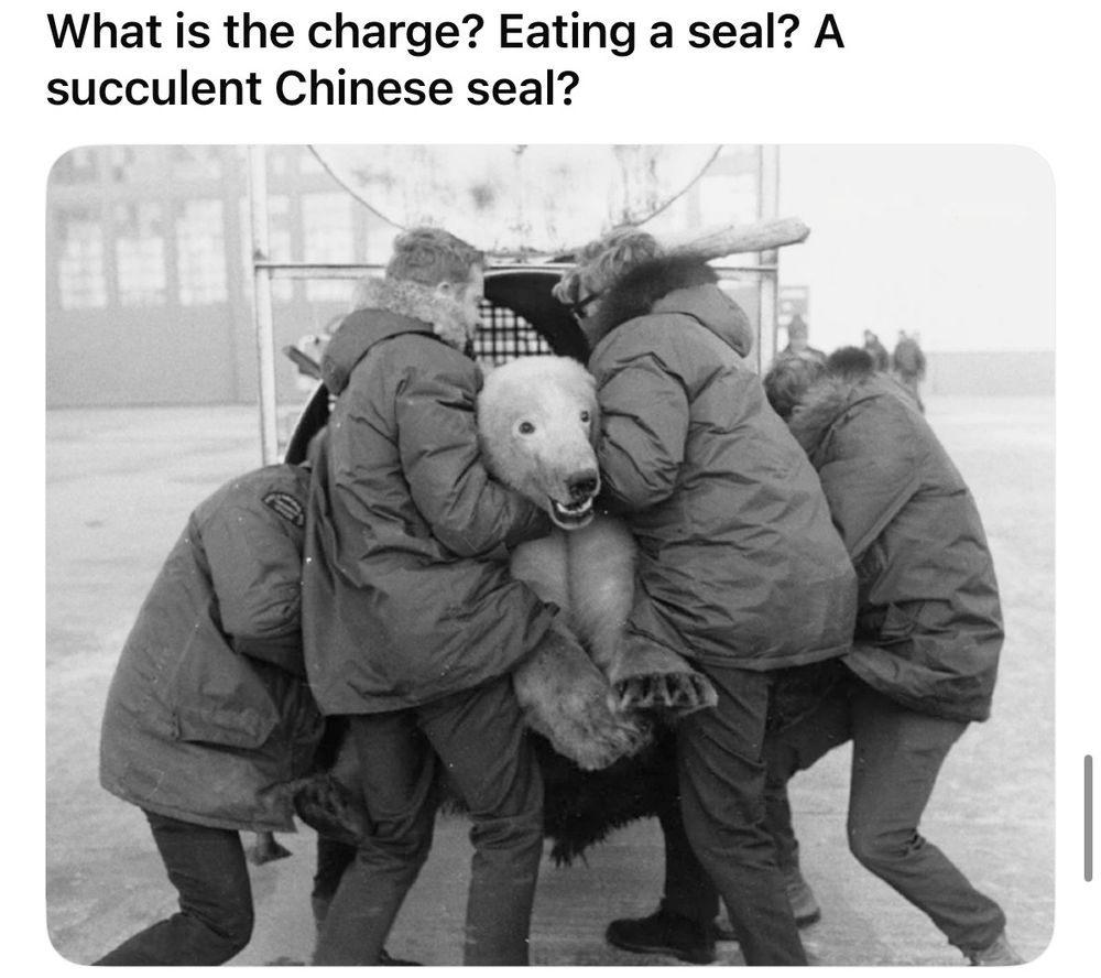 a black and white image of four parka-clad men lifting a small polar bear into some sort of cage. The men’s backs are to the viewer and the bear is facing us, its head poking out from between the arms of the two middle men. Above the image the text reads: What is the charge? Eating a seal? A succulent Chinese seal? 