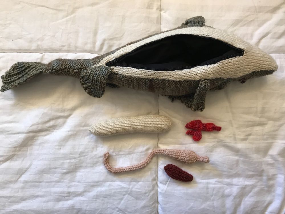 The walleye belly, unzipped showing the black fabric inside, all of the knitted organs have been taken out and are lying alongside. The stomach, heart, liver, and air bladder