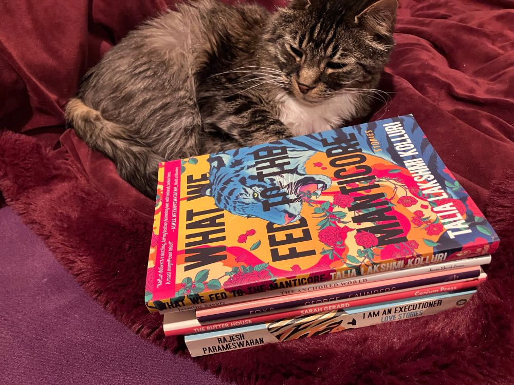 Photograph of a cat with a stack of books