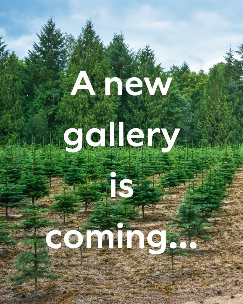 Text reading “A new gallery is coming...” over a photo of rows of newly planted trees, with fully grown trees in the background.
