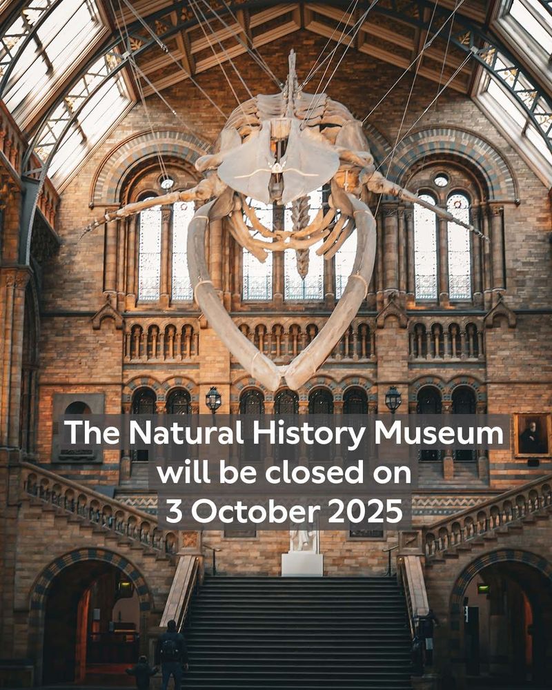 A large blue whale skeleton suspended from the ceiling. Under the whale, there’s text saying, ‘The Natural History Museum will be closed on 3 October 2025’. Behind the skeleton, there are three large arched windows and highly decorated architectural details.  