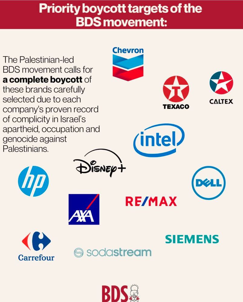 Image from BDS. Text on top of image reads “Priority boycott targets of the BDS movement” text on left of image reads “The Palestinian-led BDS movement calls for a complete boycott of these brands carefully selected due to each company’s proven record of complicity in Israel’s apartheid, occupation and Genocide against Palestinians. 

Logo images displayed are: Chevron, Texaco, Caltex, Intel, Disney+, HP, Axa, Remax, Dell, Carrefour, Sodastream, Siemens 

Bottom of the image has the BDS logo. 
