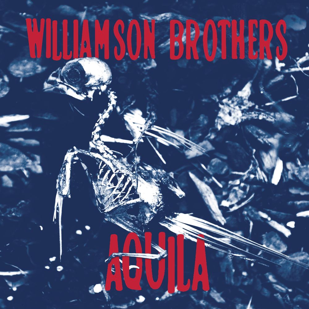 This is album cover art for a new record by Williamson Brothers of Birmingham, AL. The album is entitled 'Aquila'. 
