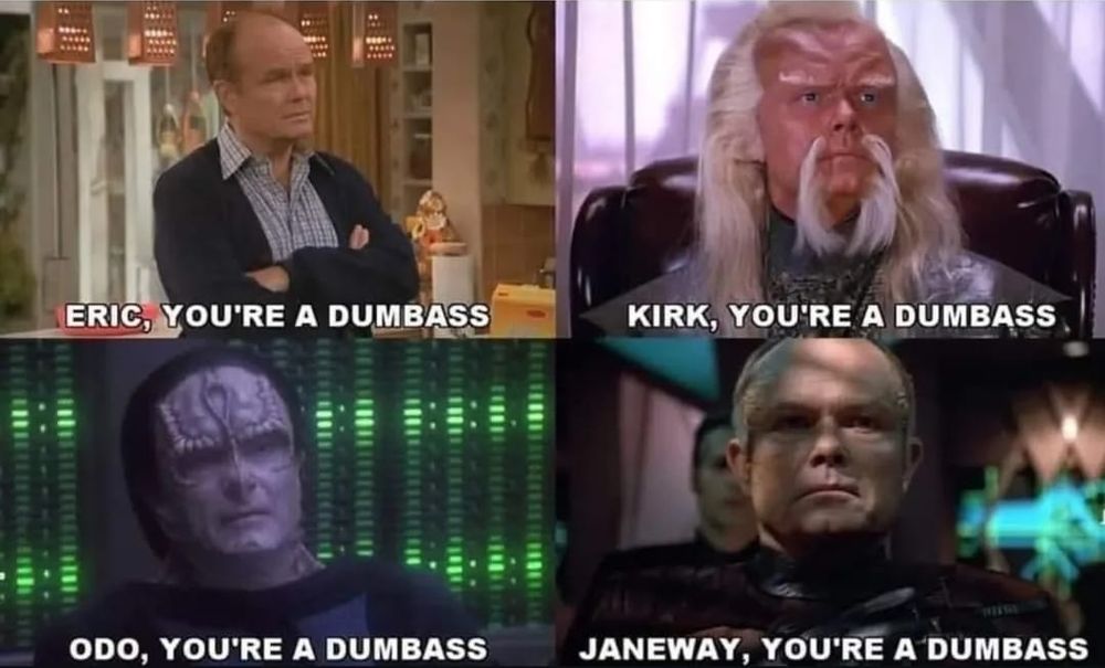 Four panels of in-series/in-movie screenshots. It's Kurtwood Smith in each of them, in different roles, and with different captions, accordingly, but looking serious.

Upper left: Franchise unclear; "ERIC YOU'RE A DUMBASS"
Upper right: Star Trek VI: The Undiscovered Country; "KIRK, YOU'RE A DUMBASS"
Lower left: Star Trek DS9; "ODO, YOU'RE A DUMBASS"
Lower right: Star Trek Voyager: "JANEWAY, YOU'RE A DUMBASS" 