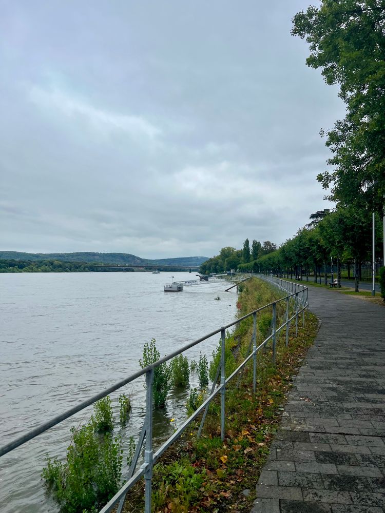 Blick auf den Rhein und das Siebengebirge