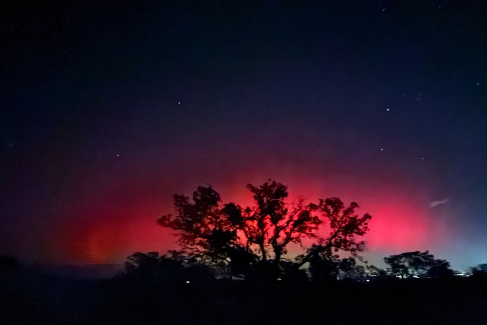 Silhouette of trees against the northern lights in the night sky. The sky is red behind the crown of the tree and slightly green below. The upper sky is dark blue with scattered stars, and the bottom is black with a few lights along the horizon.