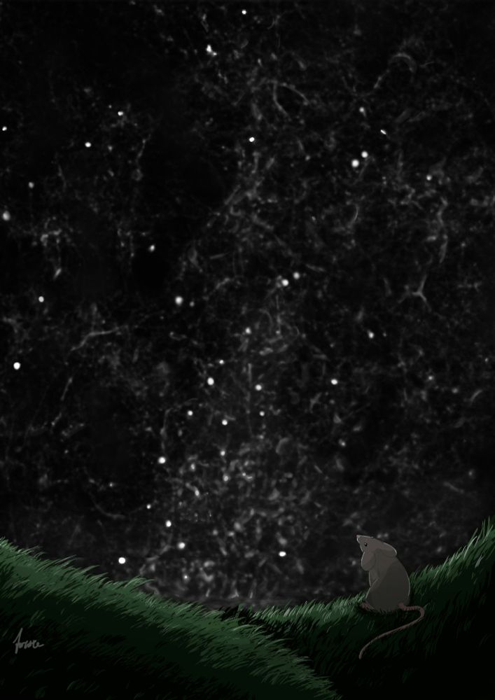 Mouse watching its axons 
