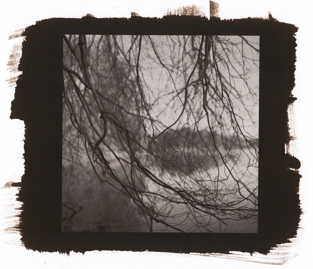 A square, warm-toned image made by using the historical salt printing method. Bare branches fill the frame. The water and shoreline of a pond are in the background. 
