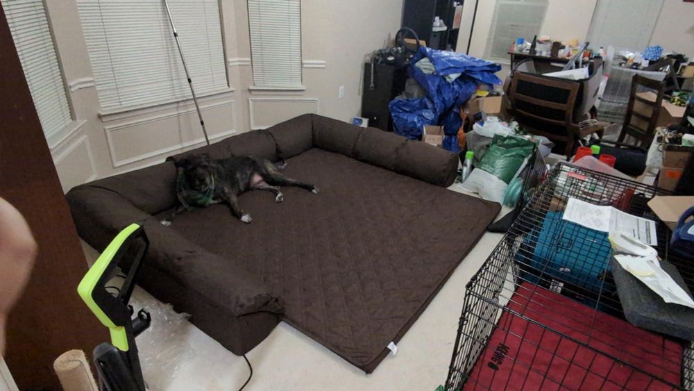 Irish wolfhound pitbull mix dog (96 Lbs) laying down on a mat with comfy backing. 