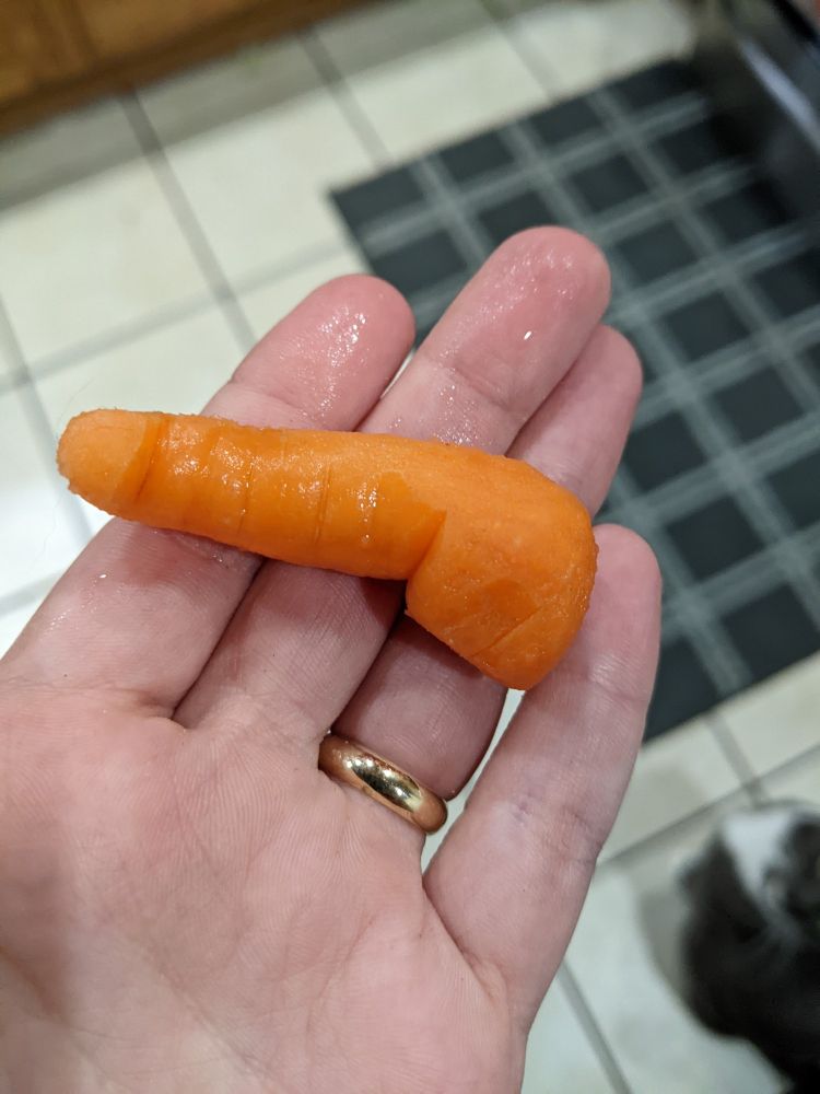 It's a baby carrot but it looks JUST LIKE a dick and balls. Like you don't even have to tilt your head or squint or anything, it's a more rude shaped carrot than a normal carrot is