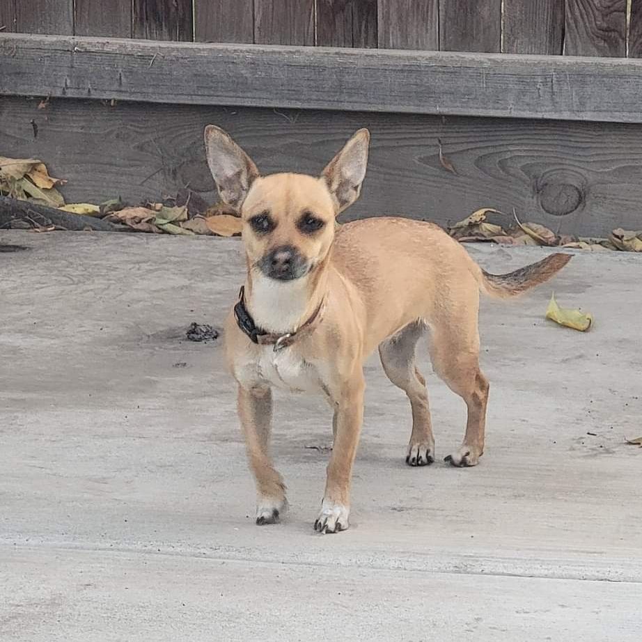 Zuzu uncertain about being rescued on the first day