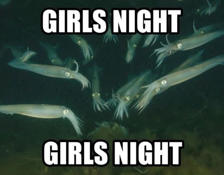 A bunch of (squids?) with the caption on top and bottom readings "girls night".