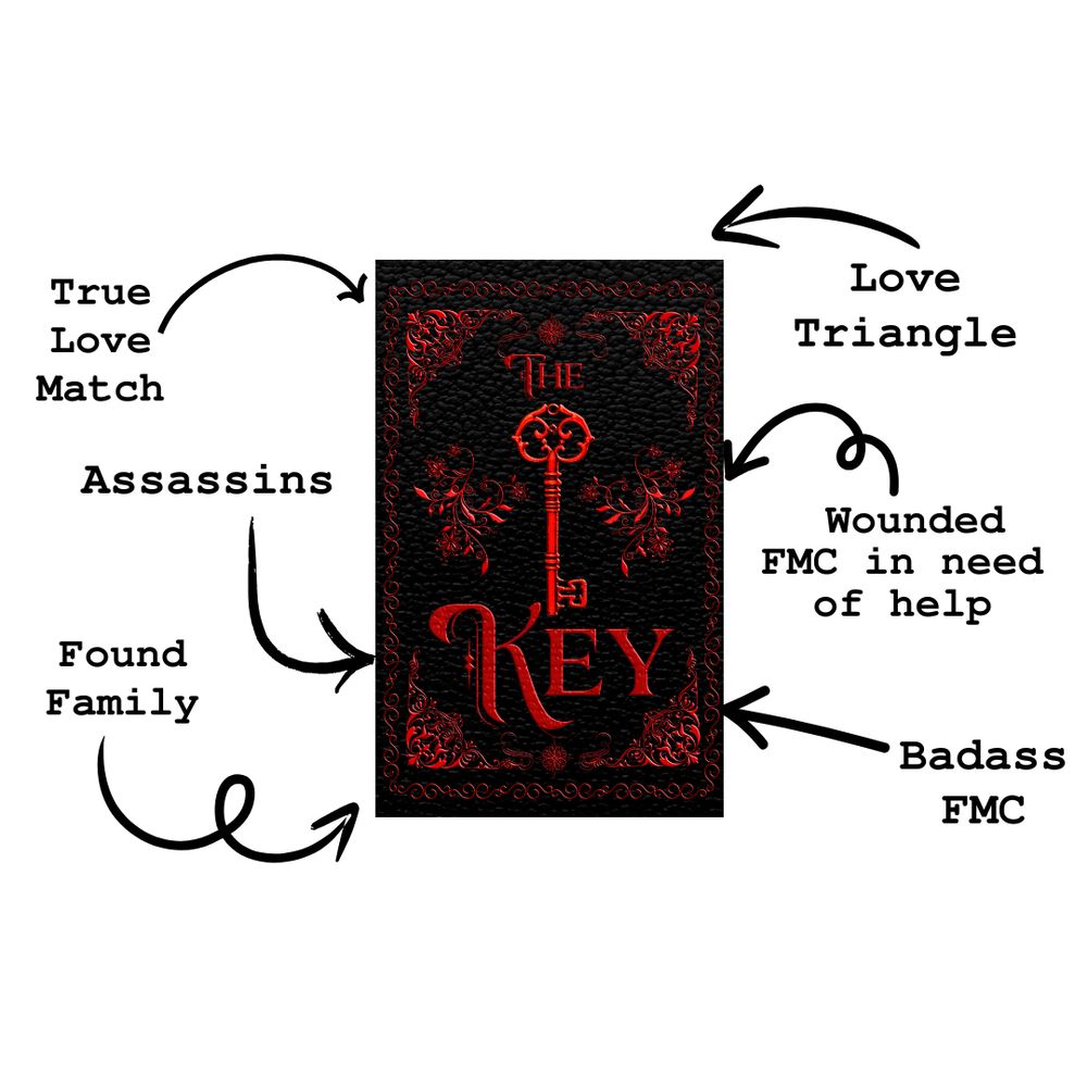 The Key Special Edition Cover with the tropes: True Love Match, Assassins, Found Family, Love Triangle, Wounded FMC in need of help, Badass FMC