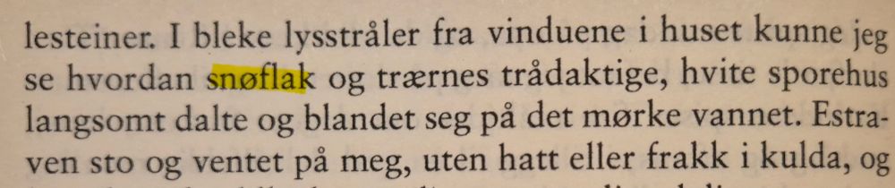 snøflak og trærnes trådaktige ...